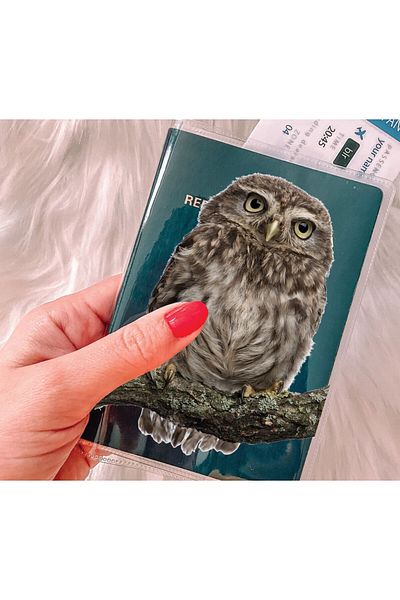 Cekuonline Transparent PVC Passport Cover with Owl Pocket and Print - All Country Compatible