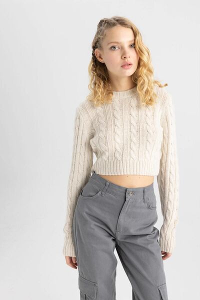 DeFacto Coool Regular Fit Crew Neck Sweater - B1750ax23wn