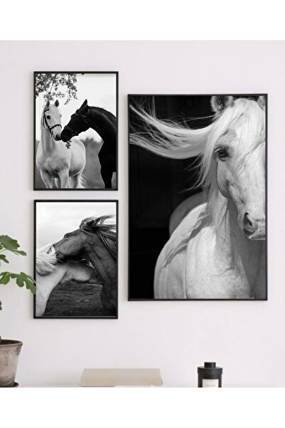 Hediye köşem Ahşap çerçeve şeffaf PVC ön koruyucu at temalı tablo seti (35x50...