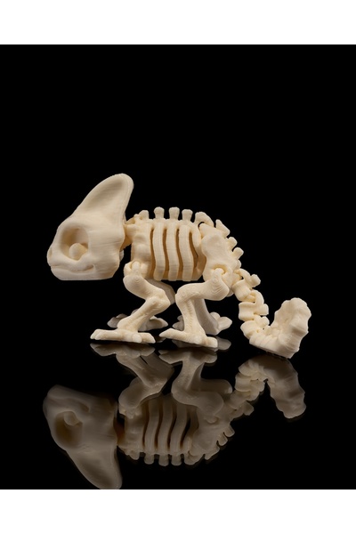 YAZDİR3D İSKELET BUKALEMUN