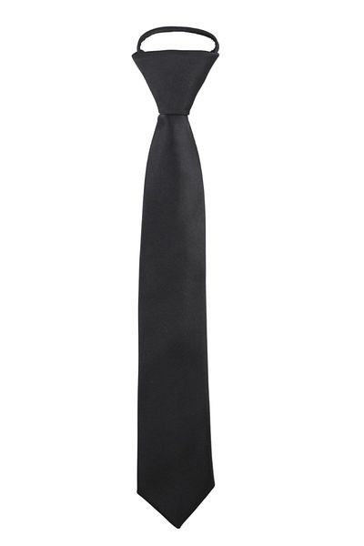 PROKRAVAT Düpont Satin College Tie
