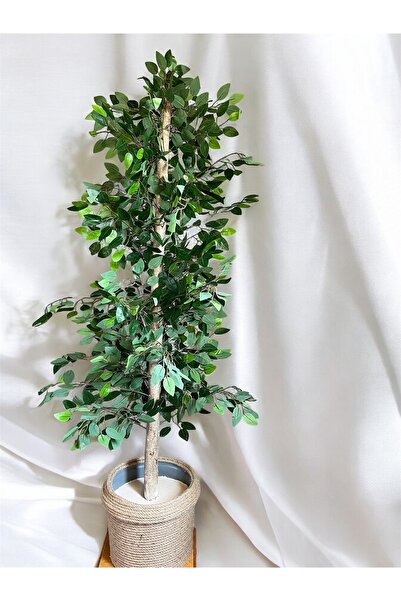 OzcanStore ÖZCAN FLOWERS 30X30 HASIR SAKSIDA 180 CM ISLAK DOKU BENJAMIN AĞACI...