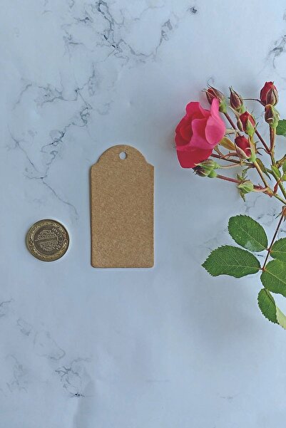 Vice Kraft Fiyat Hediye Etiketi 100 Adet Ipsiz (3.8 CM X 7.5 CM)