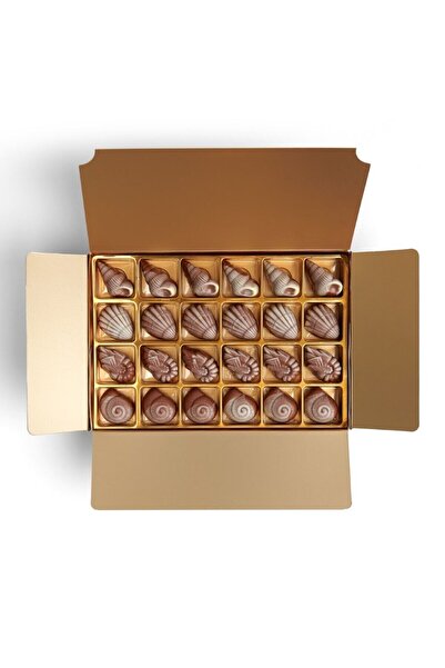 Schocolate Spesyal Deniz Kabuğu Çikolata Hediyelik Yaldızlı Kutu