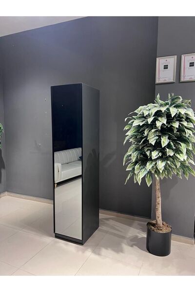 CANBAZ FURNİTURE Esla Modüllü 1 Cam Kapaklı Giyinme Dolabı % 100 MDF (KURULUM DAHİL)