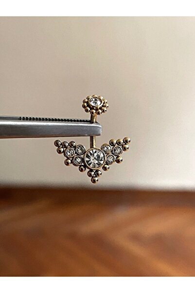 Rupen Kraft 316 L Cerrahi Çelik Zirkon Taşlı Kanat Detaylı Ömürlük Melek Kana...