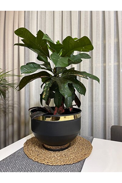 Özge Dekorasyon Metal Vazo Saksı Çiçeklik Saksılık Dekoratif Siyah Gold Detaylı 19x25cm