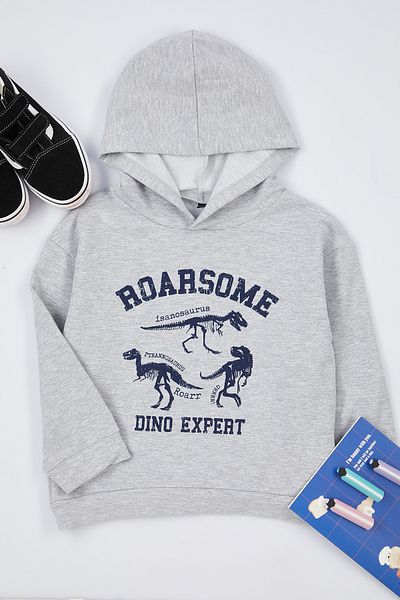 TRENDYOLKIDS Boy's Gray Melange Dinosaur Patterned Hooded Seasonal Knitted Sweatshirt - Tkdaw25sw00004