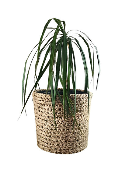 HAKİCİ Dekoratif Çok Amaçlı Dikilebilir Jüt Hasır Örgü Sepet Saksı