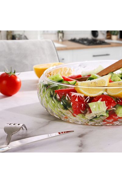Multiamo Cage Model Large Size Glass Presentation Bowl / Glass Salad Bowl