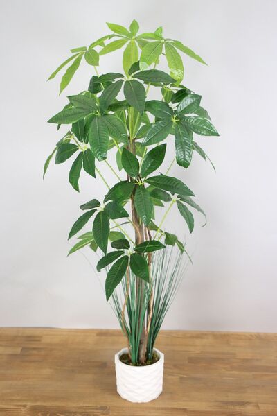 Yapay Çiçek Deposu Yapay Yıldız Ağacı 105 Cm Alçı Saksılı Ypcck