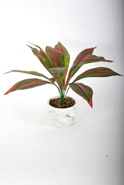 Yapay Çiçek Deposu نموذج نبات صناعي مقاس 42 سم - أوراق طويلة، صناعي 15