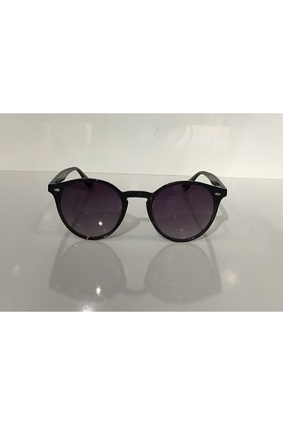 Swing Ss220 C613 49 Model Sunglasses