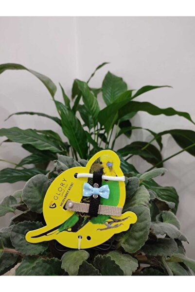 Glory Muhabbet Kuşu Eğitim Ve Gezdirme Tasması Bej / Mavi Beyaz / Siyah / Bey...