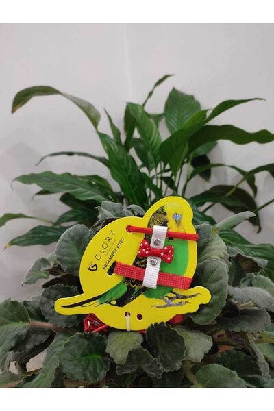 Glory Muhabbet Kuşu Eğitim Ve Gezdirme Tasması Kırmızı / Beyaz Siyah / Beyaz