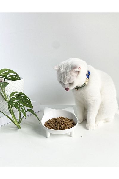 stilinbu Ceramic Sweet Cat Cat Food- Water Bowl (white)