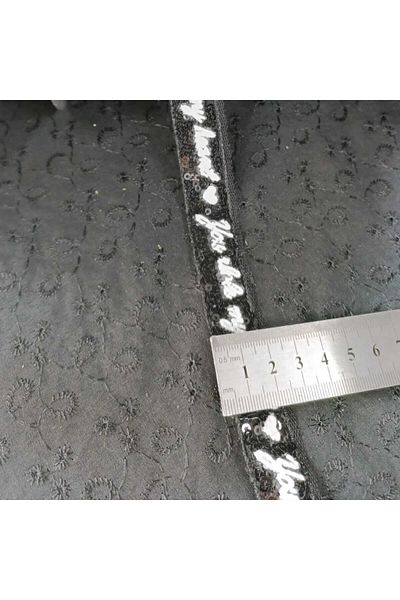 AĞIRSOY 1 Meter Sequin Decorative Strip - The Price is