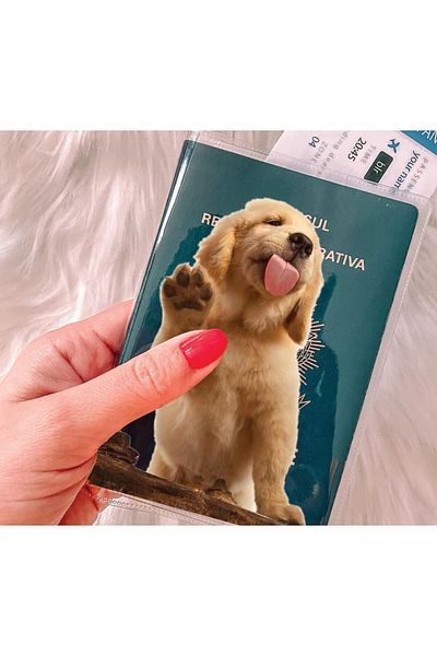 Cekuonline Labrador - Transparent PVC Printed Pocket Passport Case Cover Compatible with All Countries Passports