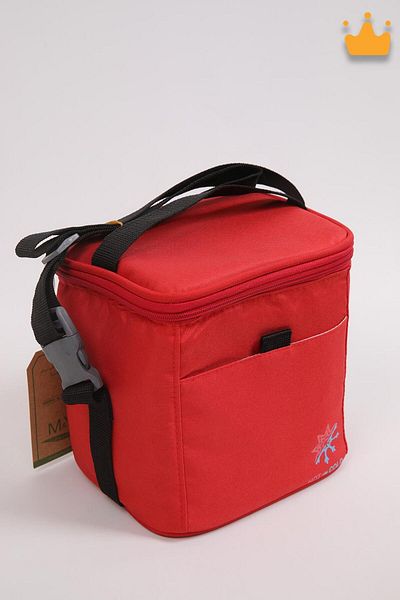 Babyhola Thermal Baby Feeding Cooler - Food Carrying Picnic Bag 19x19x15 cm 066