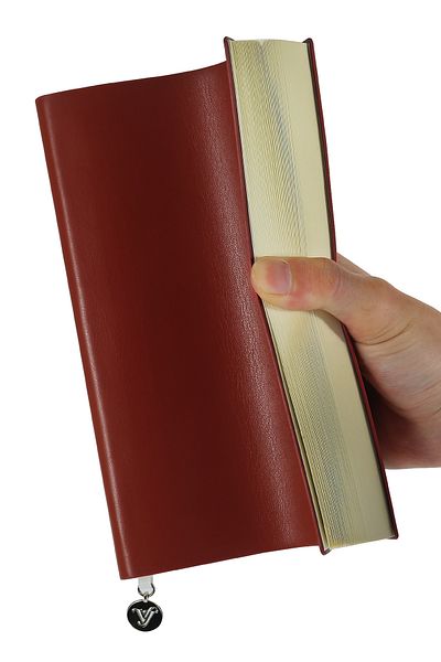 Victoria's Journals دفتر ملاحظات Smyth Flexy مقاس A5 بغطاء مرن - 384 صفحة (14.8x21 سم)