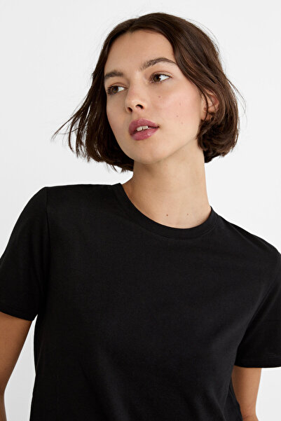 Stradivarius Pack of 2 Basic Short Sleeve T-Shirts