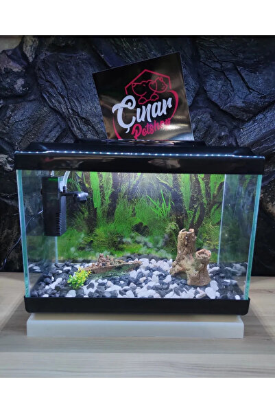 Çınarpetshop AYDINLATMANLI TÜM MALZEMELİ AKVARYUMUMUZ