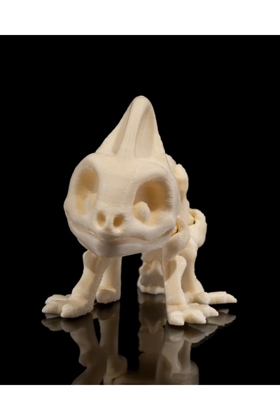 YAZDİR3D İSKELET BUKALEMUN