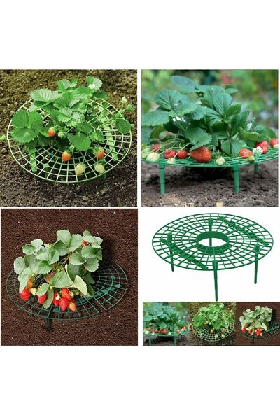 YATE10 5 Adet Plastik Çilek Geliştirme Standı