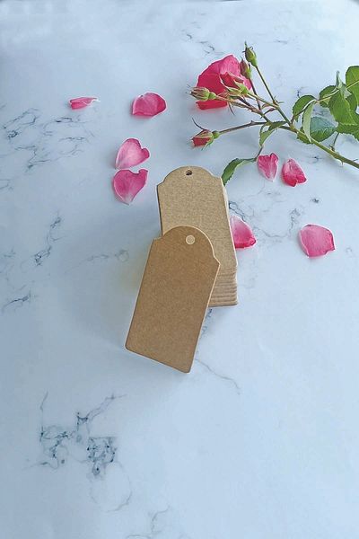 Vice Kraft Price Gift Tag 100 Pcs Without String (3.8 cm X 7.5 cm)