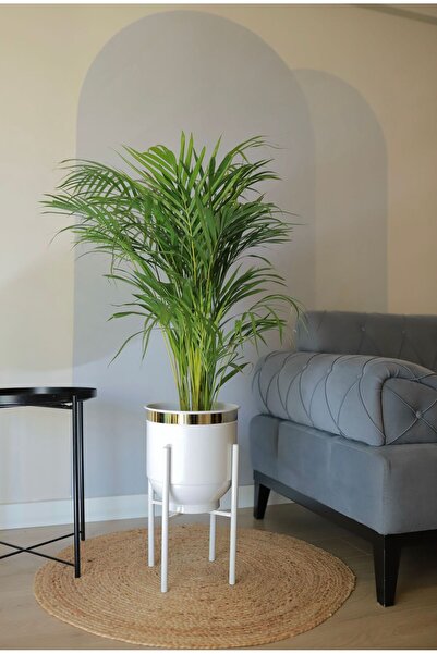 Özge Dekorasyon مزهرية معدنية من الذهب الأبيض - وعاء زهور مزخرف مقاس 50 × 30 سم