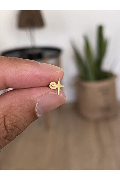 Rupen Kraft 316 L Cerrahi Çelik Tragus Helix Kıkırdak Conch Minimal Kutup Yıl...