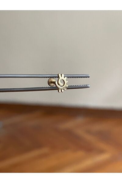 Rupen Kraft 316 L Cerrahi Çelik Dudak Piercing Kıkırdak Helix Tragus Conch Pi...