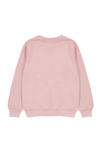 Trendyol Collection Dried Rose Seasonal Sweatshirt for Girls - Thin Slogan Pattern, Embroidered Tkdaw25sw00008