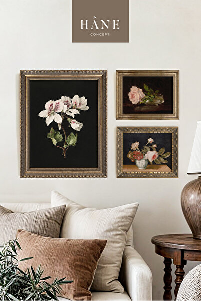 Hane Concept Vintage Çerçeveli 3'lü Tablo Seti, Sanatsal Galeri Seti, Çiçek Baskılı Tablo, Çiftlik Evi Tarzı