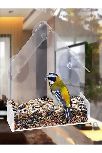 SeHa Design Plexi Acrylic Transparent Bird Food Vaccum 3 Mm 15cmx 6.5cm X 13.5cm
