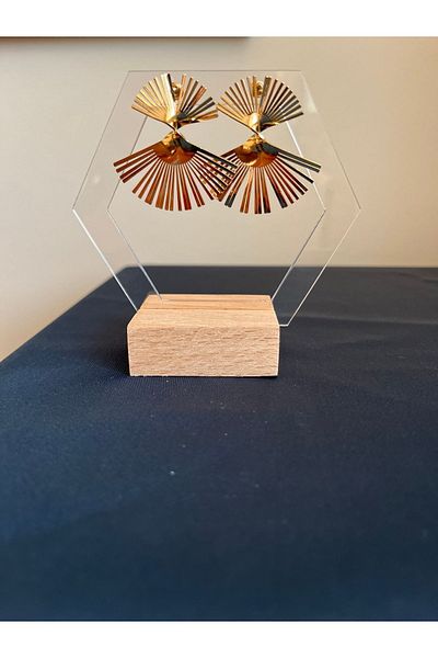 Asteria Jewelry Fan Steel Earrings