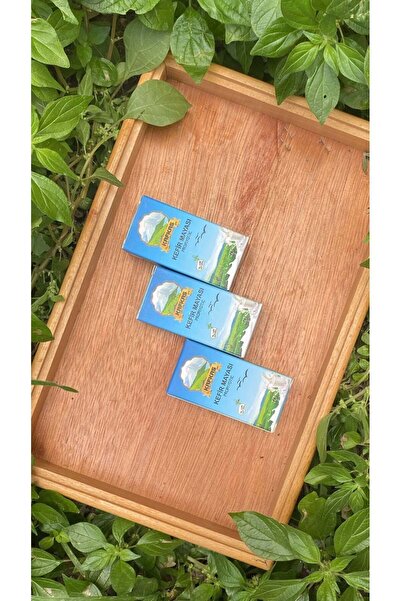 Doğal hayat 54 Kefir Mayası probiyotik