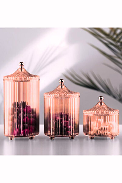 Flora 3 Boy Kapaklı Drajelik, Akrilik Sunumluk Baharatlık Kurabiyelik Şekerlik Saklama Kabı 3’lü Set