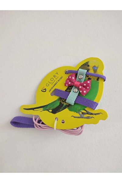 Glory Fiyonklu Mor / Su Yeşili / Pembe Muhabbet Kuşu Eğitim Ve Gezdirme Tasması