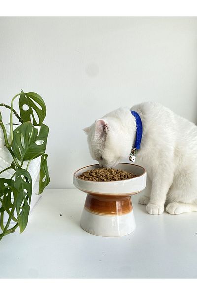 stilinbu Ceramic Cat and Kopek Food Water Bowl (White-Light Brown)