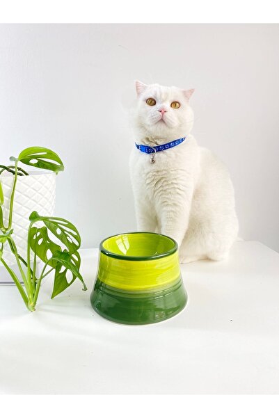 stilinbu Seramik Kedi Ve Köpek Mama Su Kabı Colorful Moon Bowl (YEŞİL-FISTIK ...
