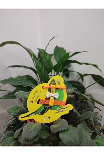 Glory Muhabbet Kuşu Eğitim Ve Gezdirme Tasması Turuncu/sarı/krem/siyah