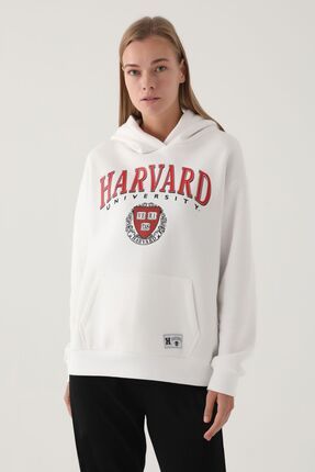 Harvard university sweat 2025