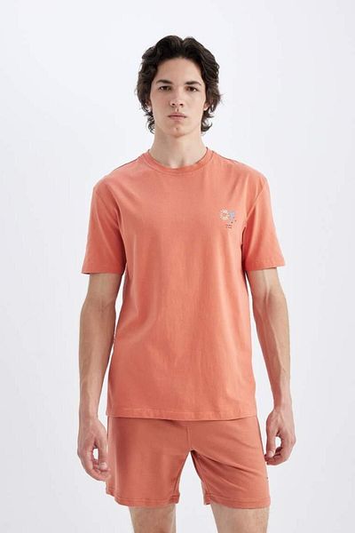 DeFacto Bedrucktes Kurzarm-T-Shirt mit normaler Passform und Rundhalsausschnitt C5650ax