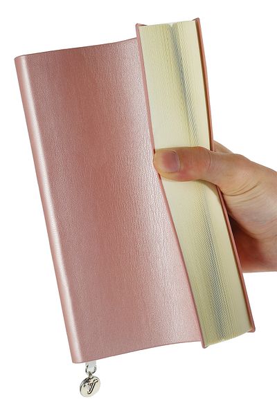 Victoria's Journals Caiet Smyth Flexy A5 - 14,8x21 cm, 384 pagini, copertă flexibilă
