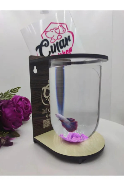 Çınarpetshop ŞIK FANUS