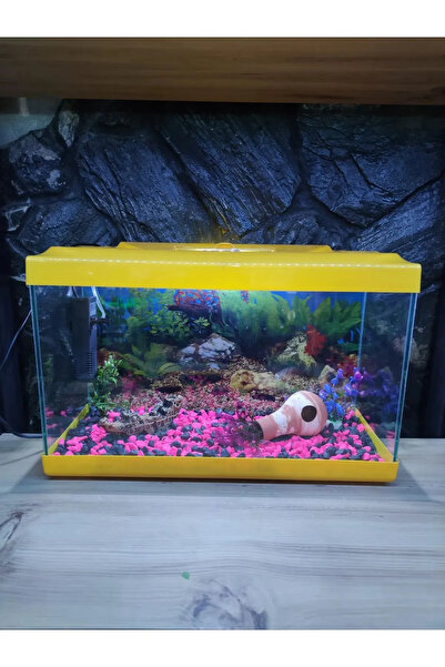 Çınarpetshop TÜM SET AYDINLATMALI AKVARYUM