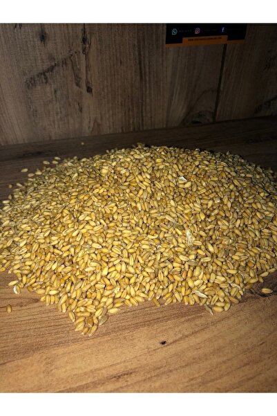 Van Yöresel Ürünleri Sütlü Van Buğdayı [ 1kg ]