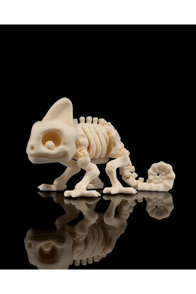 YAZDİR3D İSKELET BUKALEMUN