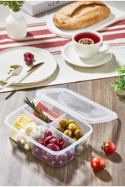 Tinsmith 1000 ml - 6 Pieces 4 Compartments Frozen Dinner Food Meat and Vegetable Storage Container, Icebox Mincer Box